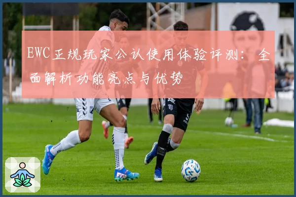 EWC正规玩家公认使用体验评测：全面解析功能亮点与优势